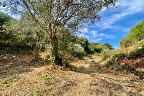 4012m² Land in Corfu, Greece No. 110042 12