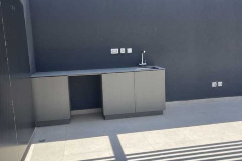 Пентхаус с 2 спальнями в Лимассол, Кипр №64190 9