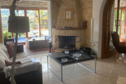 4 bedrooms House in Laneia, Cyprus No. 73705 12