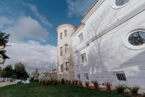 Вилла с 7 спальнями в Каливия-Торику, Греция №107942 28