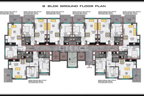 2 dormitorios Apartment en Chau Lang, Vietnam No. 21849 4