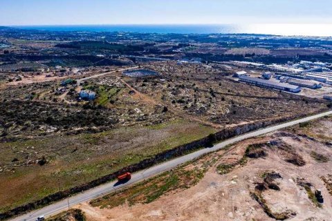 133129m² Land in Agia Varvara, Cyprus No. 80115 4