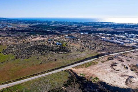 133129m² Land in Agia Varvara, Cyprus No. 80115 3