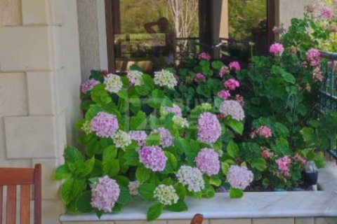 3 bedrooms House in Kato Platres, Cyprus No. 63328 6