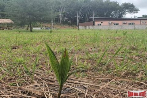 2972m² Land in Naithon Beach, Thailand No. 95787 4