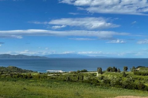 Вилла с 5 спальнями в Иерисос, Греция №72301 1