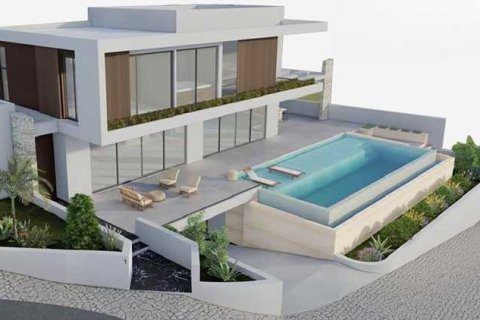 Вилла с 5 спальнями в Пейя, Кипр №82701 1