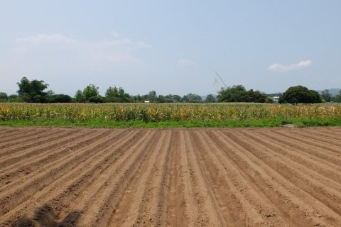 Land en Chiang Mai, Thailand No. 97649 6