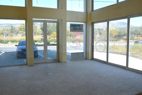 Здание 420м² в Вари, Греция №58204 5