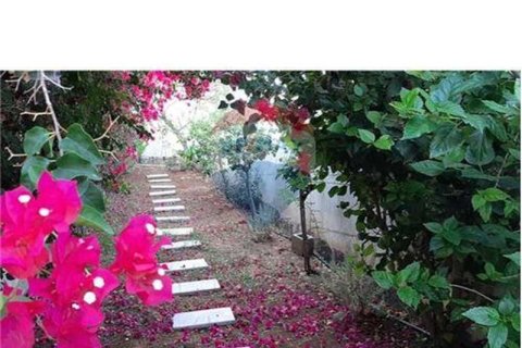 4 bedrooms Villa in Limassol, Cyprus No. 52600 13