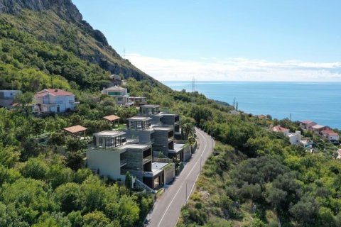 550m² House in Budva, Montenegro No. 66808 5