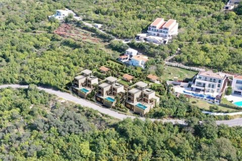 550m² House in Budva, Montenegro No. 66808 7