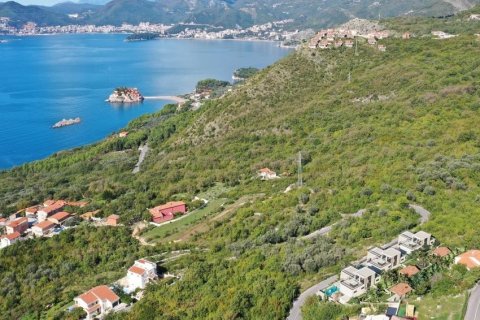 550m² House in Budva, Montenegro No. 66808 3