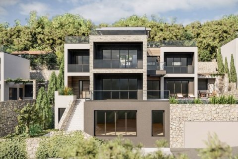550m² House in Budva, Montenegro No. 66808 12