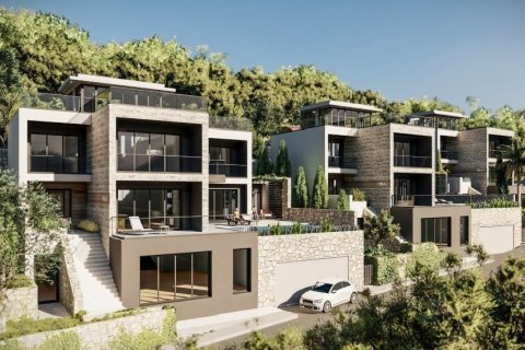 550m² House in Budva, Montenegro No. 66808 11