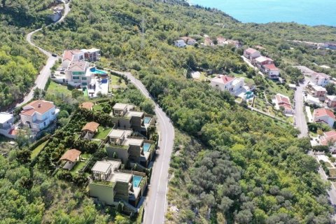 550m² House in Budva, Montenegro No. 66808 8