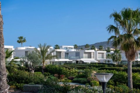 5 bedrooms Villa in Paphos, Cyprus No. 104523 15