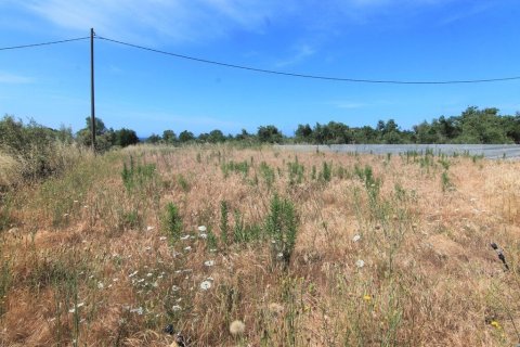 Земельный участок 10000м² в Керкира, Греция №56308 1