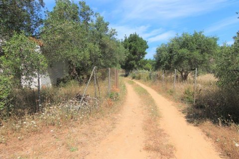 Земельный участок 10000м² в Керкира, Греция №56308 7