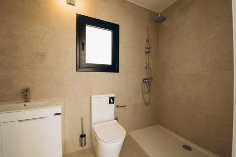 5 chambres Villa à Agios Tychonas, Cyprus No. 101264 16