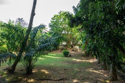 400m² Villa in Nai Harn Beach, Thailand No. 97454 3