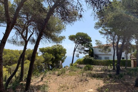 4 bedrooms Villa in Thao Chu Phin, Vietnam No. 88246 19