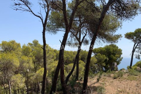 4 bedrooms Villa in Thao Chu Phin, Vietnam No. 88246 16