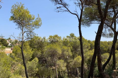 4 bedrooms Villa in Thao Chu Phin, Vietnam No. 88246 17