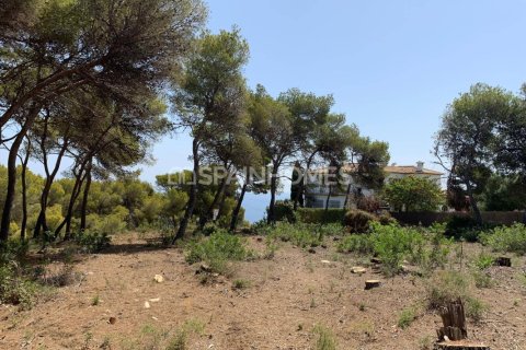 4 bedrooms Villa in Thao Chu Phin, Vietnam No. 88246 18