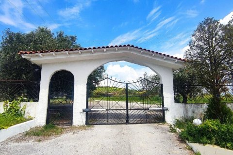 Дом 196м² в Халкидики, Греция №107735 22