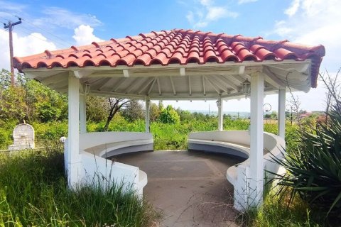 Дом 196м² в Халкидики, Греция №107735 24