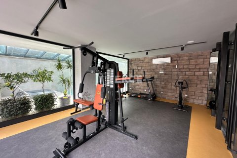 3 bedrooms Penthouse in Chau Lang, Vietnam No. 11010 12