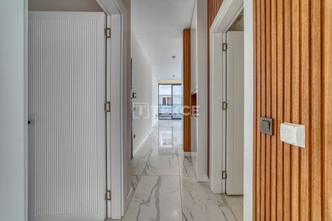 1 bedroom Apartment in Chau Lang, Vietnam No. 17689 23