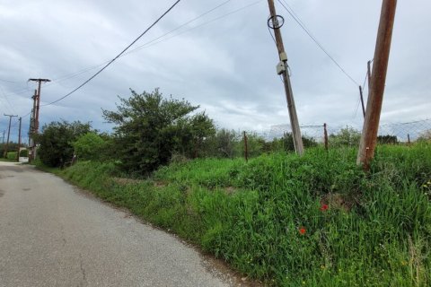 4000m² Land in Panorama, Greece No. 108046 5