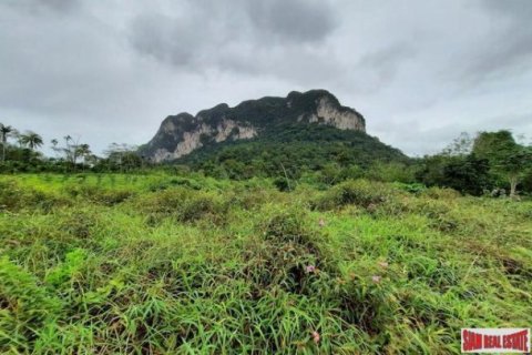 26000m² Land en Krabi, Thailand No. 96965 2