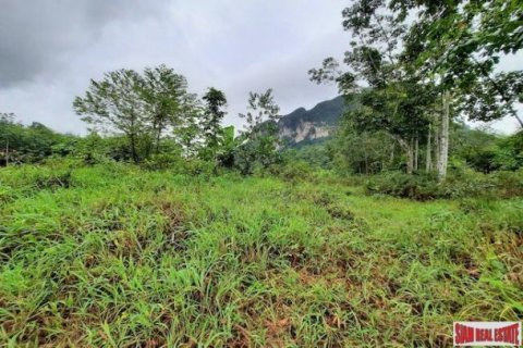 26000m² Land en Krabi, Thailand No. 96965 7