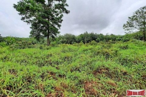 26000m² Land en Krabi, Thailand No. 96965 8