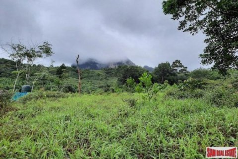 26000m² Land en Krabi, Thailand No. 96965 6