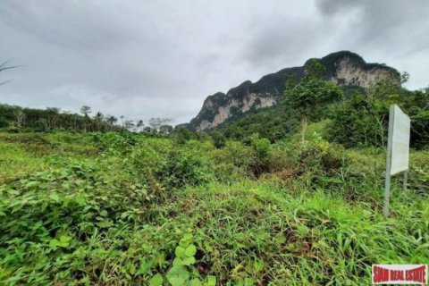 26000m² Land en Krabi, Thailand No. 96965 4