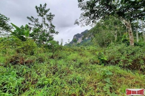 26000m² Land en Krabi, Thailand No. 96965 5