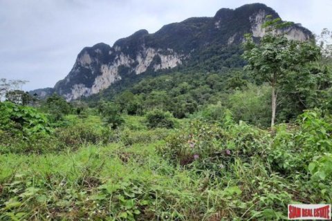 26000m² Land en Krabi, Thailand No. 96965 1