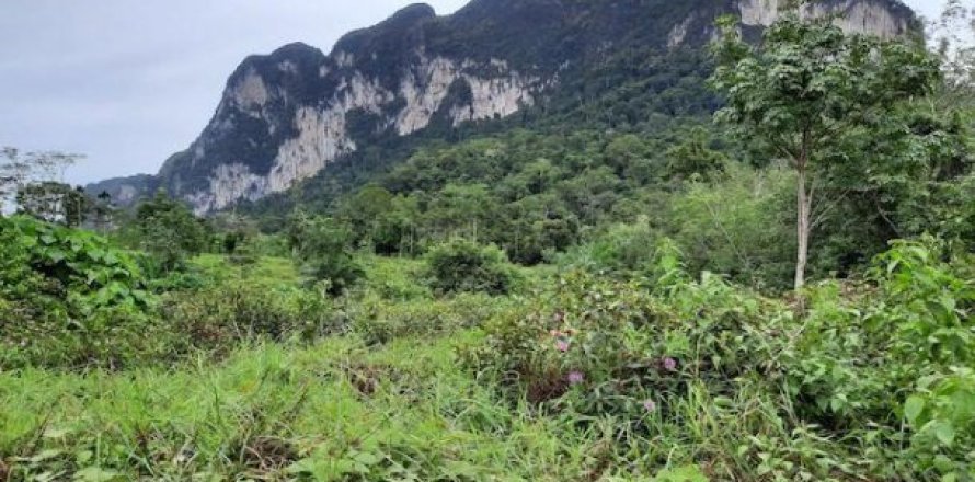 26000m² Land en Krabi, Thailand No. 96965