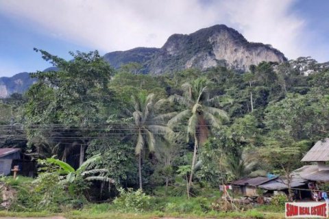26000m² Land en Krabi, Thailand No. 96965 11
