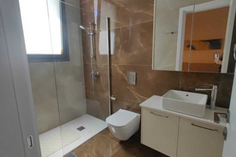 4 bedrooms Penthouse in Agios Athanasios, Cyprus No. 45058 5