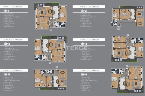 6 bedrooms Apartment in Xuan Luong, Vietnam No. 89462 4