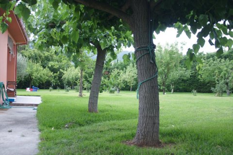 4 dormitorios House en Kamena Vourla, Greece No. 107532 7