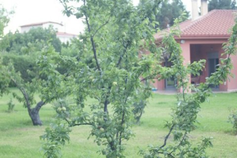 4 dormitorios House en Kamena Vourla, Greece No. 107532 6