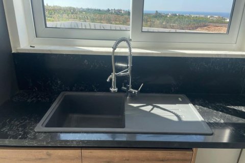 Дом с 4 спальнями в Пейя, Кипр №37253 16