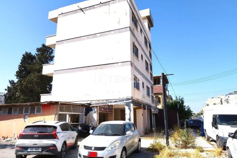 15 bedrooms Villa in Bao Thuan, Vietnam No. 22100 10