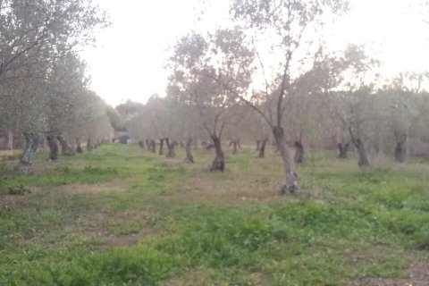 350m² Hotel in Chalkidiki, Greece No. 107984 12